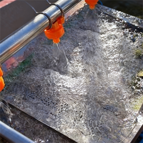 Blueberry-Cleaning-Machine-Bubble-Cleaning Blueberry-Cleaning-Machine-Bubble-Cleaning